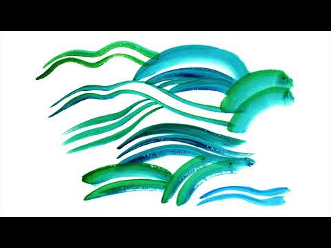 The World – Vol.01 NASU | 2-Hour Ambient Nature Soundscape by Taro Ishida