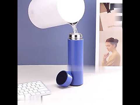 Temperature Water Bottle