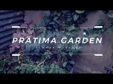 Flower Beds// Summer Garden Tour/ Pratima Garden