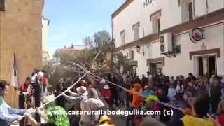 preview picture of video 'Fiestas de La encarnación Casas de Ves-Los pinos'