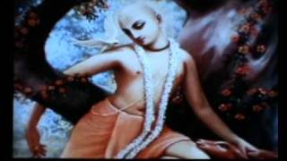 Vrindavana:  Land of Krishna 2/3