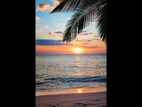 RomiZ -  The Sunset Party Chill (AfroHouseMixxx)