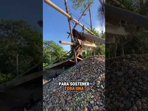 📍#madrededios| 🚨𝐃𝐞𝐬𝐭𝐫𝐮𝐜𝐜𝐢ó𝐧 𝐝𝐞 𝐦𝐚𝐪𝐮𝐢𝐧𝐚𝐫𝐢𝐚𝐬 𝐞𝐧 𝐥𝐚 𝐑𝐞𝐬𝐞𝐫𝐯𝐚 𝐝𝐞 𝐓𝐚𝐦𝐛𝐨𝐩𝐚𝐭𝐚💥