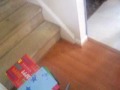 101 8408 Mov
