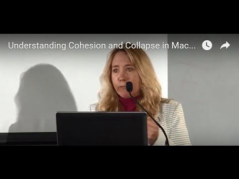 Understanding Cohesion and Collapse in Macaques Societies: Social Housing