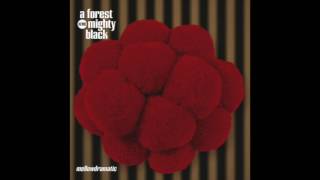 A Forest Mighty Black - Reflections Of A Fake Night