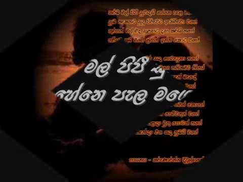 karamba mal pipee suvandai hene pala mage- karunaratha divulgane.wmv
