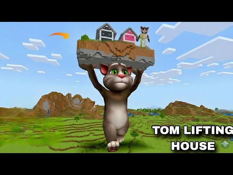 I FOUND A TALKING TOM HOLDING FLOATING ISLAND in Minecraft - Gameplay - Coffin Meme 🏝️🐱
