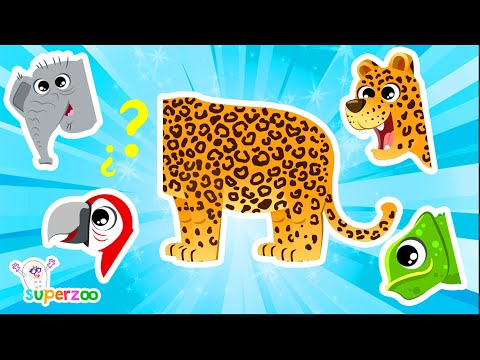 🐅🦕What kind of animal is the Saber-toothed tiger? Learn about prehistoric animals | Superzoo