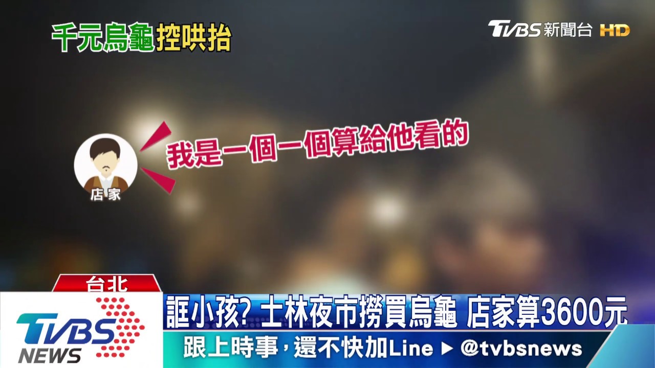 誆小孩？士林夜市撈買烏龜　店家算3600元