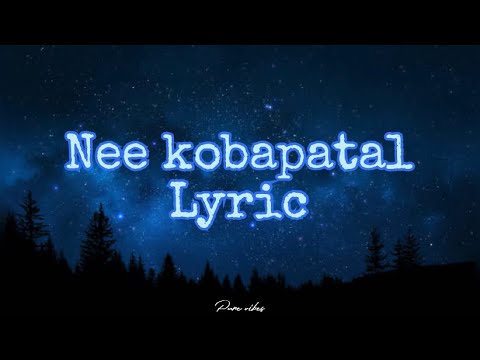 Nee kobapatal Lyric Song | Villu | ilayathalapathy vijay | Tamil |