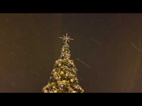 Rozświetlenie choinki w Oleśnicy