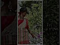 New Santali Status Video Song Cute Girl Romantic WhatsApp Status