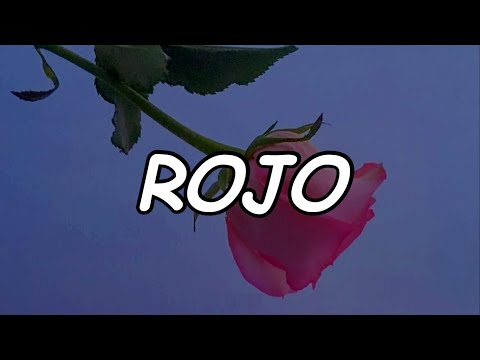 J Balvin - Rojo (Official Video Lyric)