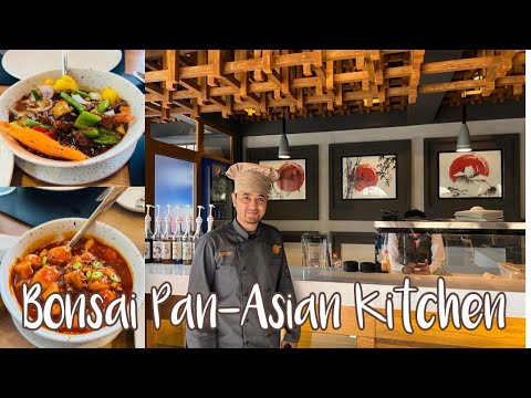 Bonsai Pan- Asian Kitchen recém-inaugurada | Revisão completa de comida | Melhor restaurante de comida chinesa