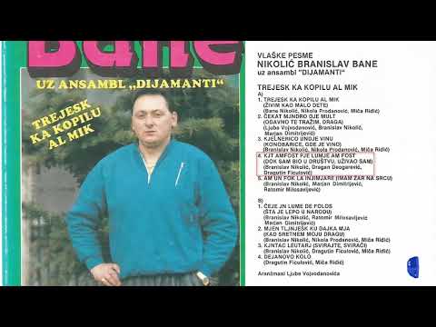Branislav Nikolic Bane - Kjt amfost pje lumje am fost - (Audio 1988)