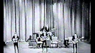 The Shadows - the rise and fall of flingel bunt