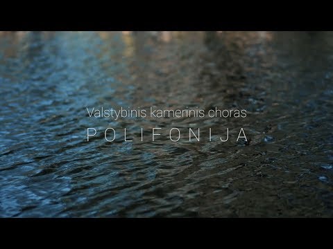 Polifonija - Tykus Tykus