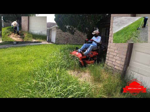 Crazy Overgrown Yard Transformation (really messy)