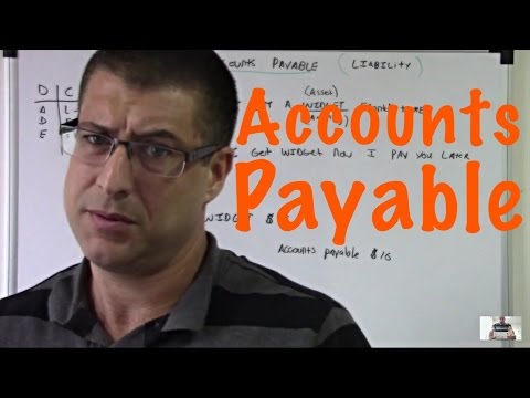 Accounting for Beginners #10 / Accounts Payable / Basics Video
