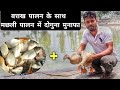 Duck Farming Fish Farming Machli Aur Batak Palan Duck And Fish Farming