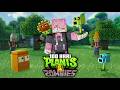 100 Days Of Minecraft Plants Vs Zombies
