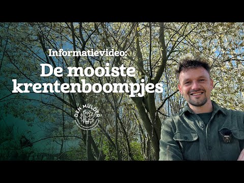 The most beautiful varieties of Amelanchier/Serviceberry for your garden