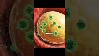 Download lagu NEVER Do This After Smoking Marijuana mp3