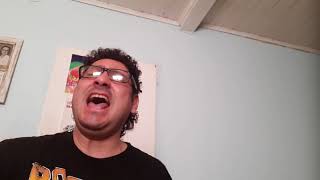 Its a sin-Pet Shop Boys-Cover