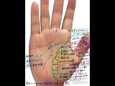 タイムラプス動画で手相鑑定をします イメージ1