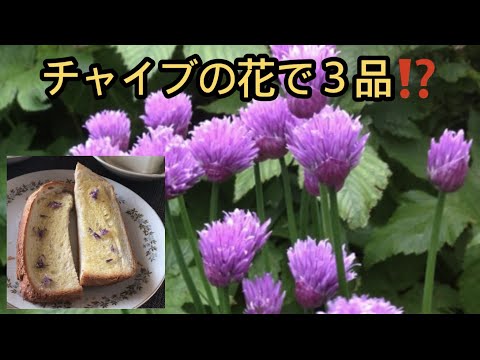 チャイブの種まき方法は？この多年生植物の栽培について知っておくべきことすべて  庭園
