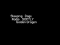 Golden Dragon | Softly radio | Sleeping Dogs ...