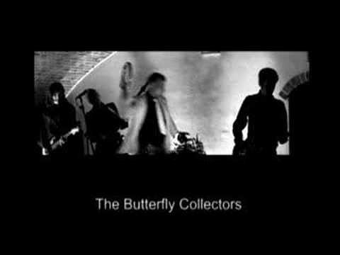 The butterfly collectors at No Fun
