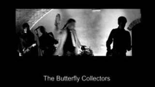 The butterfly collectors at No Fun