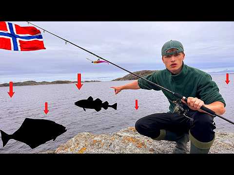 Norwegen: Angeln vom Ufer auf Dorsch, Pollack und Co. 🇳🇴 (inkl. Catch & Cook)