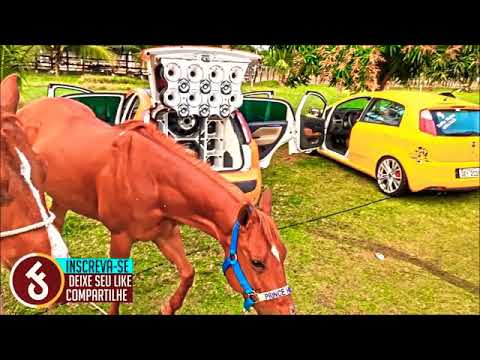 Forró de açoite especial pra vaqueiro