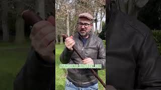 Heavy Knobbed Blackthorn Walking Stick – Big Handle
