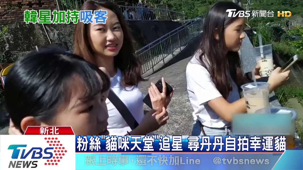 秘密行程曝光! 韓星踩點貓村、平溪放天燈