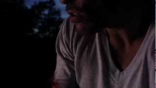 Avery Storm - Animal (Miike Snow Flip)