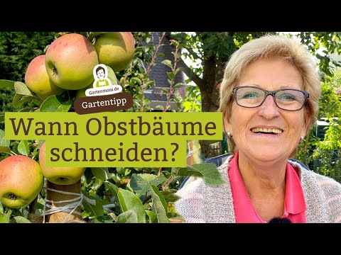 Wann schneidet man eigentlich die Obstbäume? Unterschied Kernobst und Steinobst