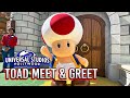 Toad Meet And Greet At Super Nintendo World Universal Studios Hollywood