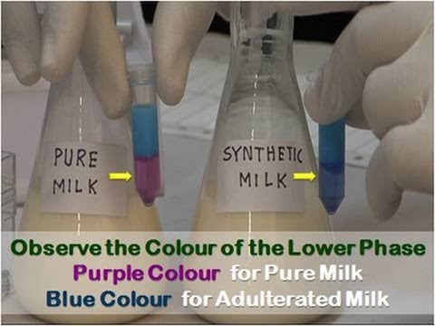 Detection of Adulteration in Milk - Amrita University Video