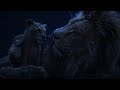 The Lion King 2019 Simba And Mufasa Scene I 4K Ultra HD
