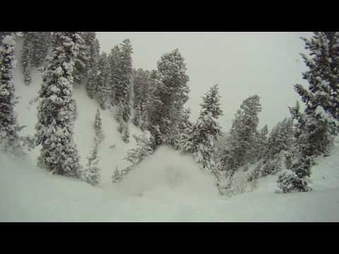 download lagu mp3 mp4 Bluebird Wax Uk, download lagu Bluebird Wax Uk gratis, unduh video klip Bluebird Wax Uk