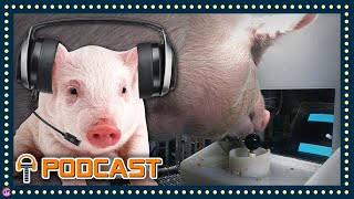 TripleJump Podcast #103: Pigs Are Playing Video Games With Their Snouts?