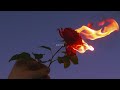 Adele Set Fire To The Rain Slowed Reverb