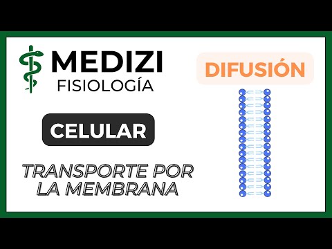 Cellular Physiology - Cell membrane transport (Diffusion and active transport) (IG:@doctor.paiva)