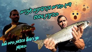 בורים ענקיים בכינרת וקרפיונים יום מלא באקשן למידה וחוויה גדולה בכינרת עונת פיתיונות 2026