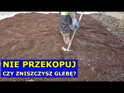 Don't Dig Up the Soil - YOU WILL DESTROY IT. ARE YOU SURE? Cultivating Without Digging the Garden...