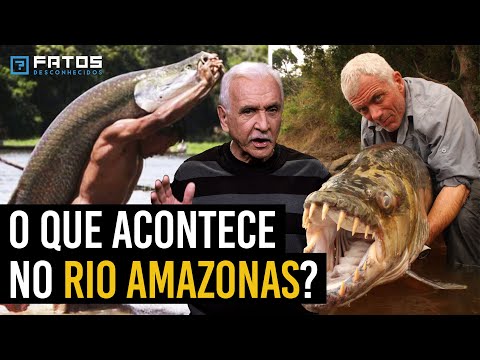Monstros do Rio Amazonas: conheça os animais mais assustadores!